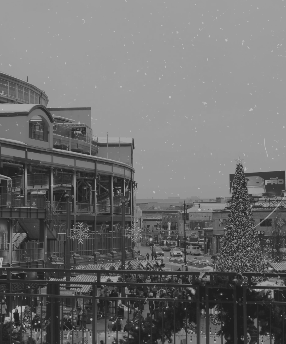Wrigley Field during the Winter Holidays - Mobile